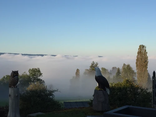 TCM Praxis für Frauen und Schmerzpatienten/Innen - Klicken, um das Panorama Bild vergrössert darzustellen