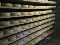 AZIENDA AGRICOLA ARCIONI LUIGI