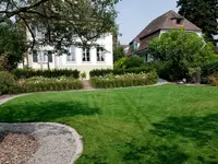 Scheuner Gartenbau AG