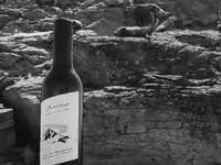 Cave des Bouquetins SA