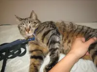 INDIKA-animalreha SA