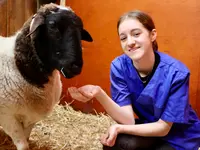 Tierklinik Leimental