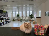 Katzen-Praxis.ch