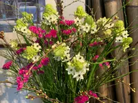 LE FLEURISTE.CH GmbH