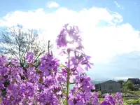 Hospenthal - Kägi AG