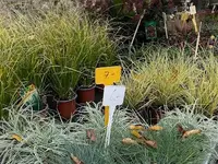 Au Jardin Blumen GmbH