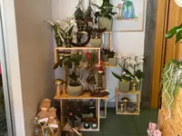 La Botega dal Fior