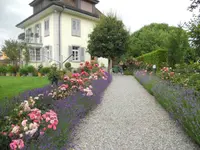 Willener Urs Gartenbau AG