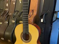 Guitarrista