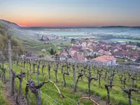 Domaine Hôpital Pourtalès - Klicken Sie, um das Bild 5 in einer Lightbox vergrössert darzustellen