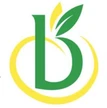 Brasier François SA