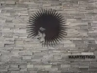 HAARTISTIGO