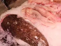 Sur les Quais Poissonnerie