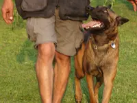 Associazione Cinofila Security Dog School