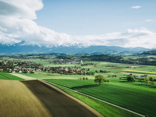 Brügger Gärten AG - Klicken, um das Panorama Bild vergrössert darzustellen