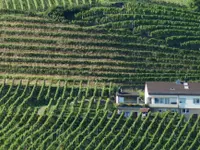 Weingut Alter Berg