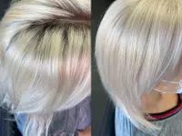 SD Coiffure