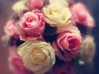 Les fleurs d'Alena