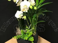 Blumenboutique Goos