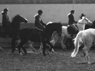 Manège de Pampigny - Klicken Sie, um das Bild 2 in einer Lightbox vergrössert darzustellen