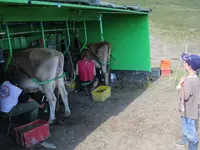 Ferme des Trontières Randogne