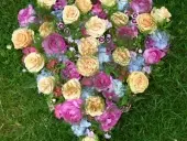 Blueme Corona