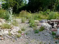 Wildblumendienst