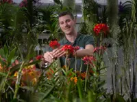 Orchidable di Andrea Martina