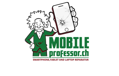 Mobileprofessor.ch GmbH