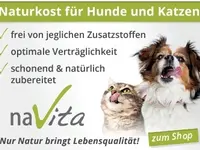 Speedy- Service Dienstleistung mit Herz für Mensch und Tier