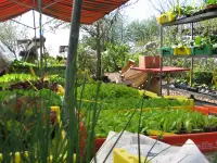 Schneider Gartenbau / Tiefbau GmbH
