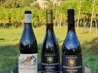 Domaine Hôpital Pourtalès