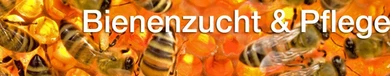 Imkereibedarf Wespi GmbH