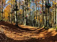 Seilpark Balmberg GmbH - Klicken Sie, um das Bild 4 in einer Lightbox vergrössert darzustellen