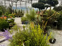 Pépinières Meylan SA