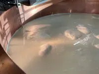 Laiterie - Fromagerie Pasquier Philippe