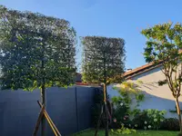 VINCENT ecopaysage