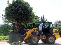 Scheuner Gartenbau AG