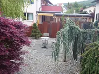 Riner Gartenbau AG