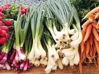 Riem Bioprodukte