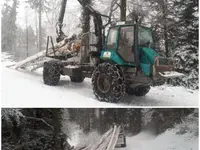 Entreprise forestière