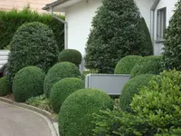VITA VERDE AG
