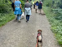 4happypets.ch, Inhaberin Schön - Klicken Sie, um das Bild 11 in einer Lightbox vergrössert darzustellen