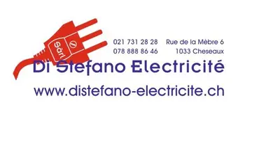 Di Stefano Electricité