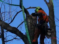 AFOR Parco SA
