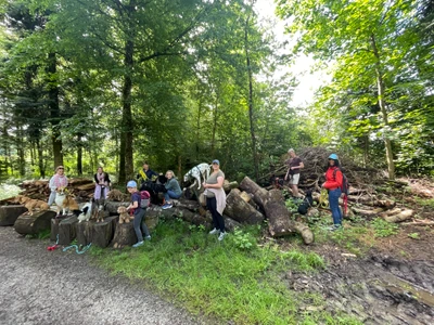 4happypets.ch, Inhaberin Schön - Hundeschule, Hundetraining, Obligatorische Hundekurse, Verhaltensberatung und Hundebetreuung in Uster, Mönchaltorf und Umgebung