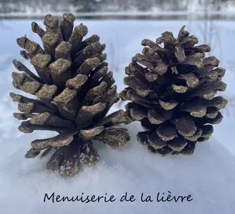 Menuiserie Lièvre Sàrl