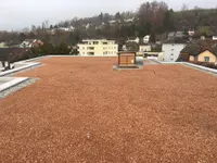 Brenner AG, Weinfelden