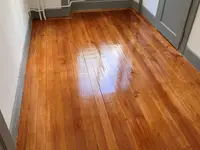 Wagner Parquet