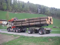 Zimmermann P. Transporte GmbH